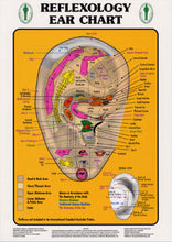 Load image into Gallery viewer, Laminated Foot, Hand & Ear Reflexology Charts (3 in 1 ) 11" x 8"