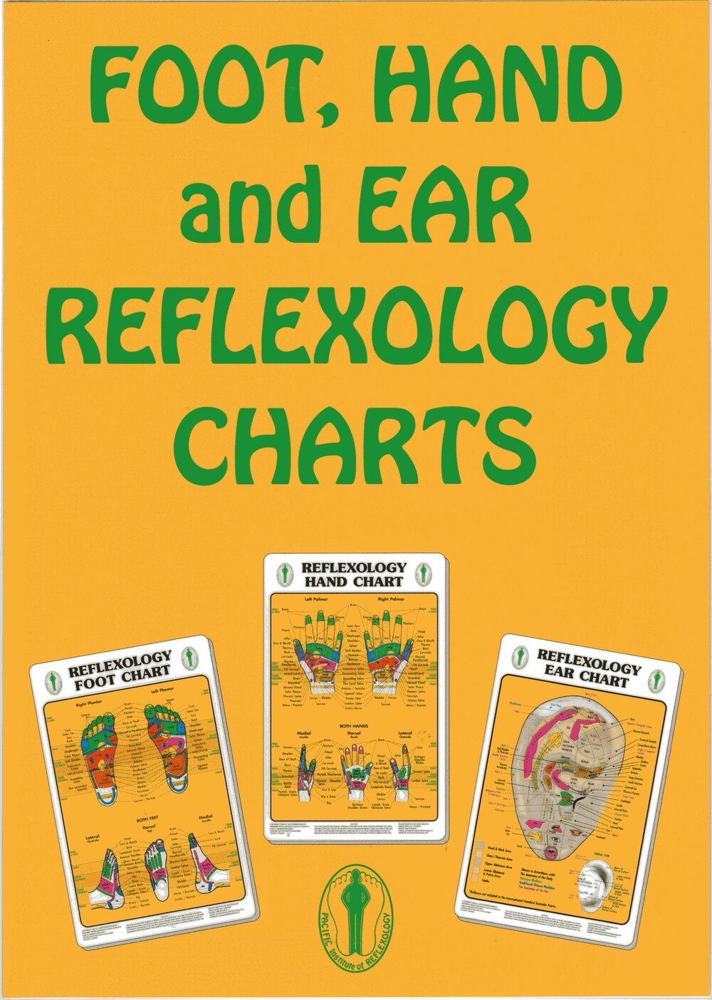 Laminated Foot, Hand & Ear Reflexology Charts 11