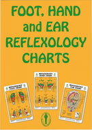 Laminated Foot, Hand & Ear Reflexology Charts 11