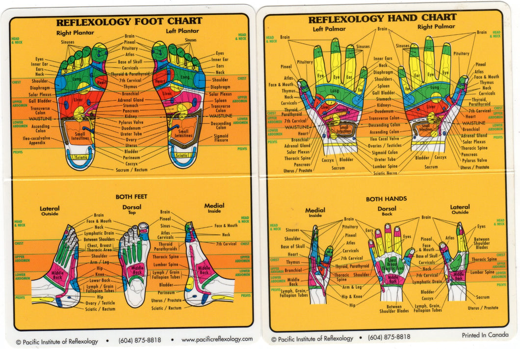 Laminated Foot & Hand  Reflexology Wallet Chart