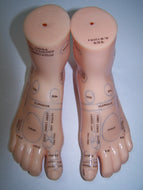 Reflexology Model Feet