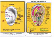 Laminated Ear Reflexology Wallet Chart