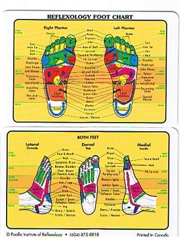 Laminated Foot Reflexology Wallet Chart