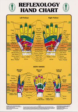 Laminated Reflexology Hand Chart 16