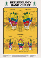 Laminated Reflexology Hand Chart 16