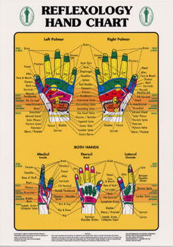 Laminated Reflexology Hand Chart 32